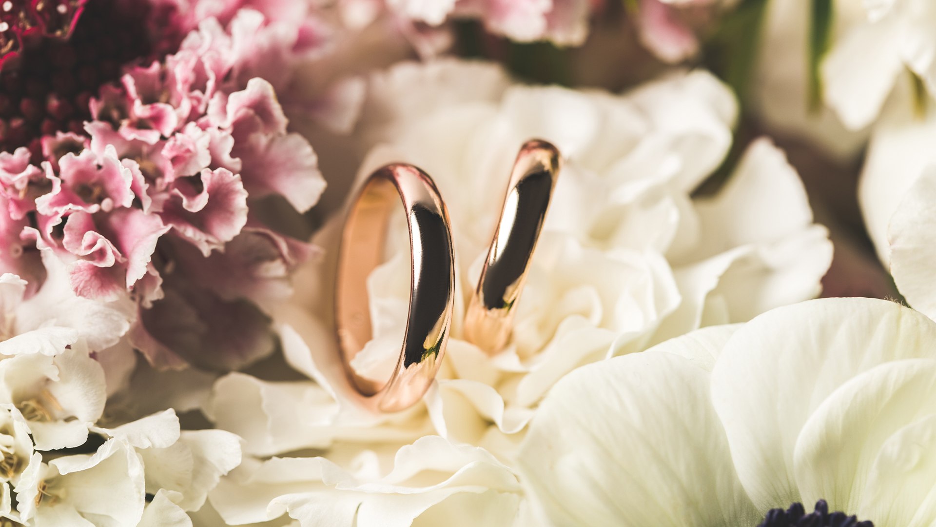Due fedi in oro rosa appoggiate tra petali di fiori bianchi e rosa